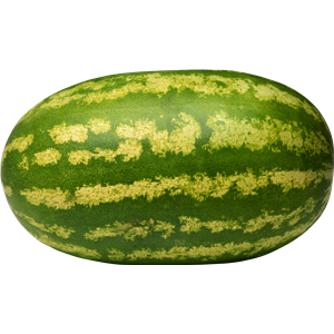 watermelon PNG image-2662